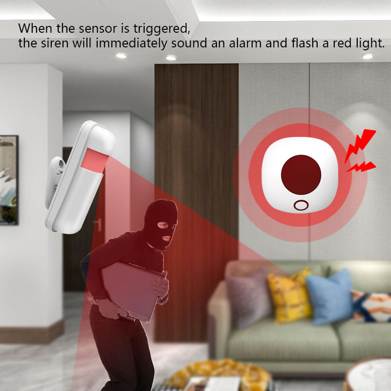 실내 433MHz 무선 사이렌 독립형 도난 경보기 시스 - Home Security Lights 리뷰 및 가격